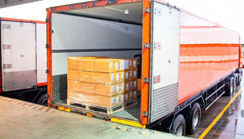 Import and Export Services